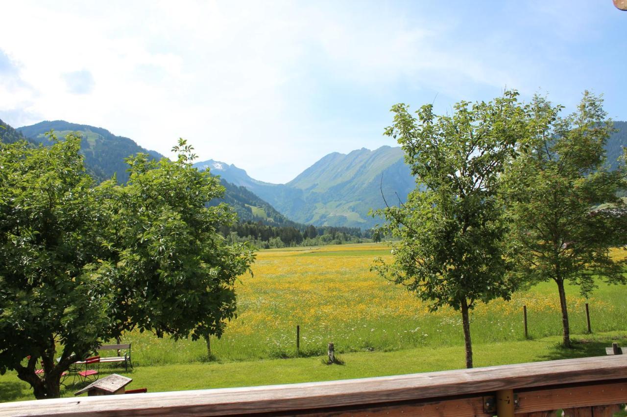 Gaemsle Hotel, Wirtshaus & Mehr 施科佩尔瑙 外观 照片